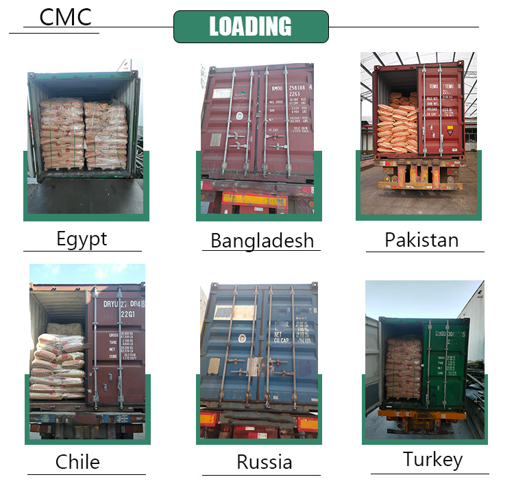 Carboxymethylcellulose Sodium (cmc Sodium)