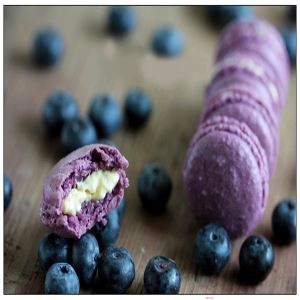 Getrocknete Blaubeere