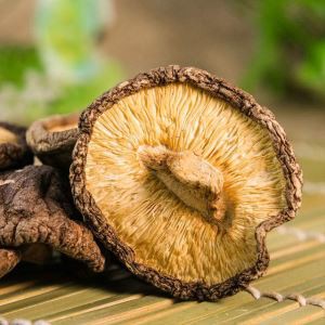 Getrockneter Scheißepilze